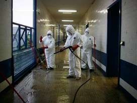 'Domuz gribi' şüphesi