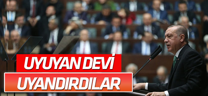 Erdoğan: Artık hiçbir ülke Türkiye'nin gücünü sorgulayamayacak