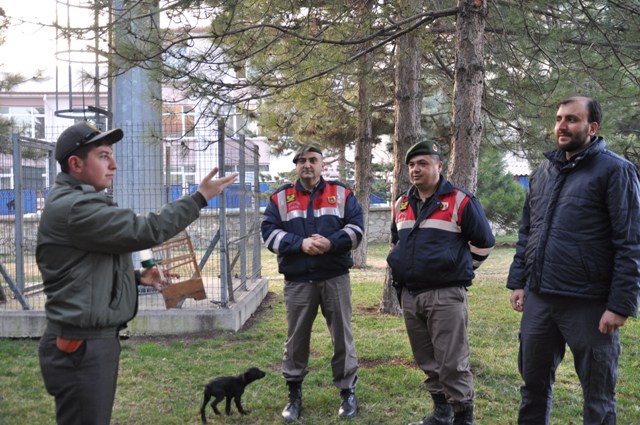 Saka kuşu yakalayan avcıya para cezası