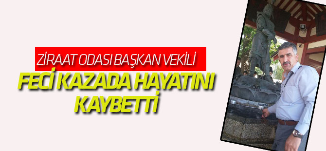 Ziraat Odası Başkan Vekili feci kazada hayatını kaybetti