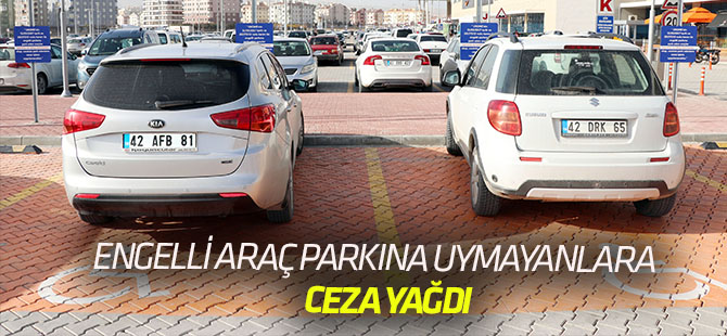 Engelli araç park yerlerine kameralı takip