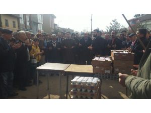 Zeytin Dalı Harekatı