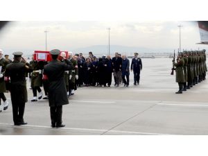 Zeytin Dalı Harekatı