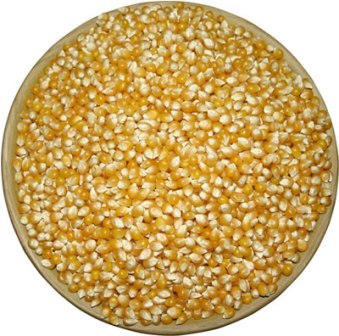 Çumra'da tane mısır başvuruları askıya çıkarıldı