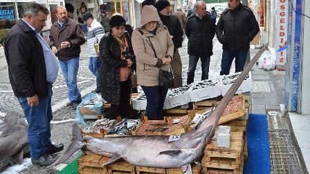 Marmara'da 2,5 metrelik kılıç balığı yakalandı