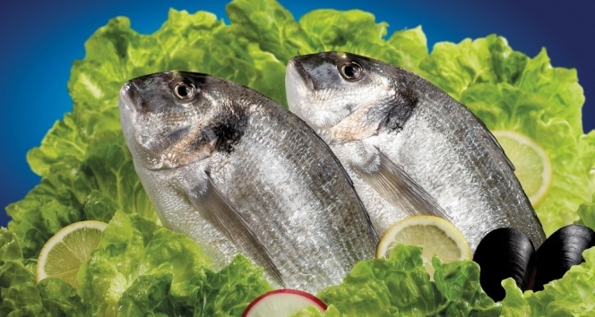 Balık depresyondan koruyor