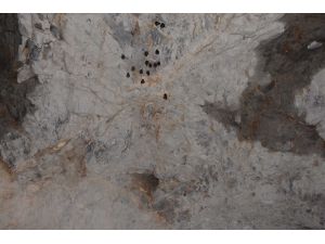 Havran'daki suni mağara yarasaların yuvası oldu