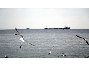 Marmara Bölgesi Ümit Yapılanma sorumlusu tutuklandı