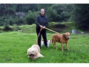 Sokak hayvanlarının doktor annesi