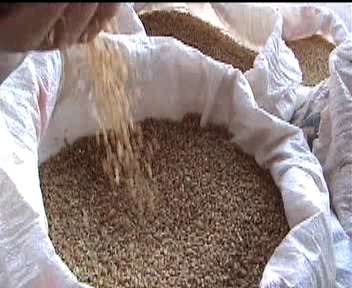 Seydişehir'de rekor buğday alımı