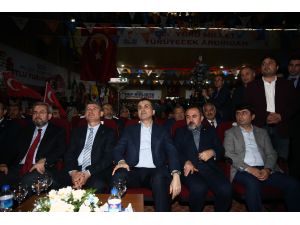 AB Bakanı ve Başmüzakereci Çelik: