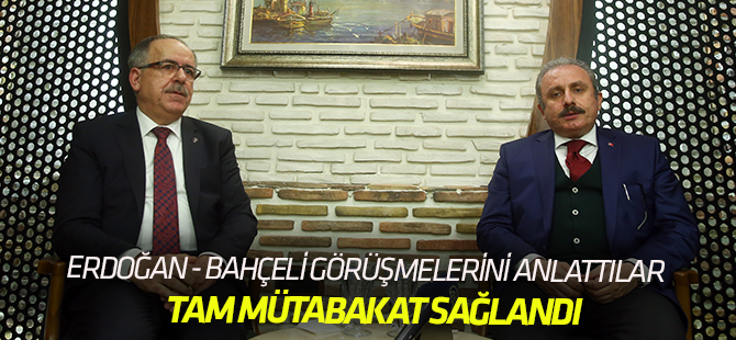 Erdoğan-Bahçeli görüşmesi