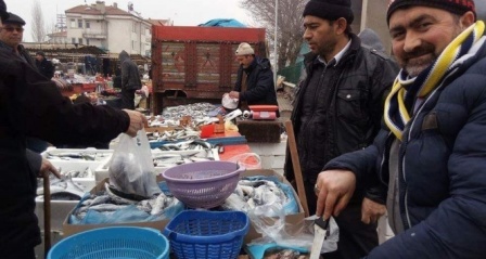 Balık fiyatları düştü