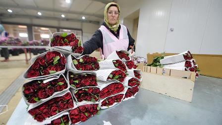 Çiçek ihracatında 2018 hedefi 100 milyon dolar