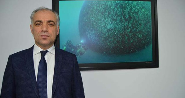 Hamsi tescillendi, sıra Kırlangıç, Barbun ve Pisi’de