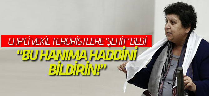 Ersoy Dede'den açık çağrı: Bu hanıma haddini bildirin!