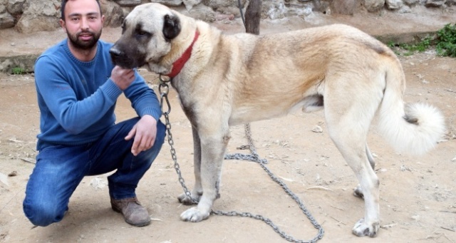 Kötü alışkanlıklarından hayvan sevgisiyle kurtuldu