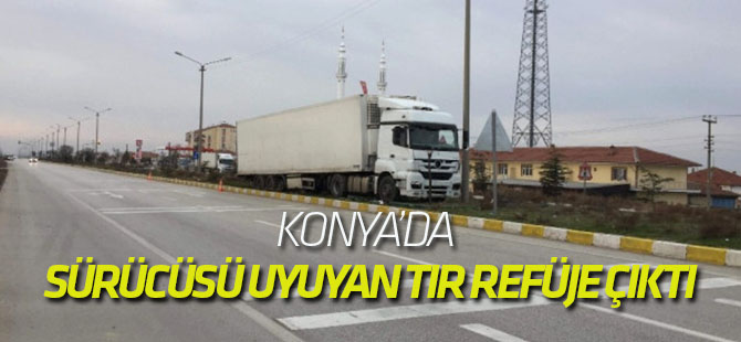 Sürücüsü Uyuyan Tır Refüje Çıktı