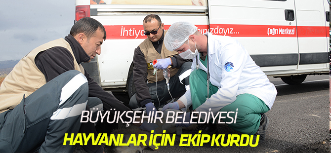 Hayvanlar İçin Acil Müdahale Ekibi