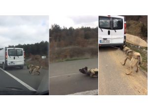 Hareket halindeki araca bağladığı köpeği sürükleyip götürdü