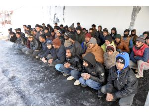 Ardahan'da 79 kaçak yakalandı