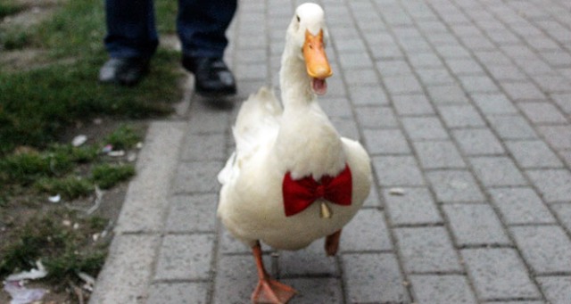 Filmlere konu olacak dostluk!