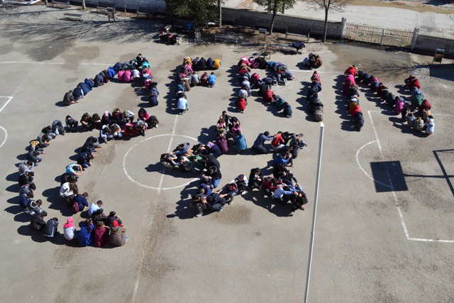 Zeytin Dalı Harekatı'na destek