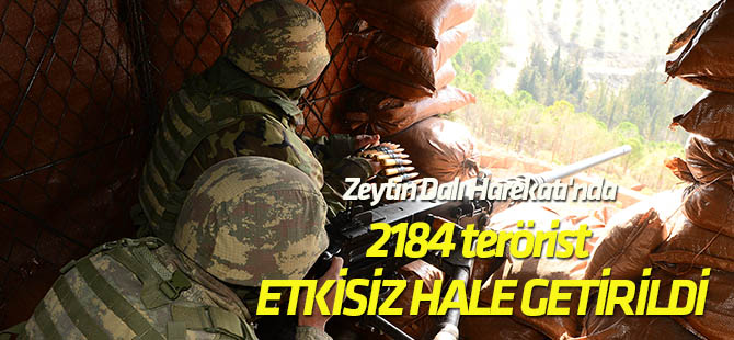 Zeytin Dalı Harekatı