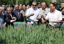 Şehrin akciğerini söktürmeyiz