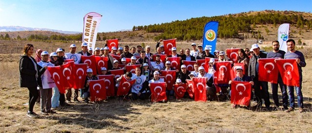 Mevlana Şubesi ağaç dikti