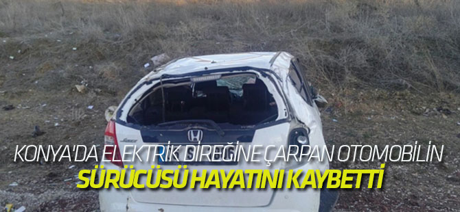 Elektrik Direğine Çarpan Otomobilin Sürücüsü Öldü