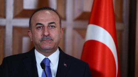 Dışişleri Bakanı Çavuşoğlu: Zeytin Dalı Harekatı barışa giden yolu açmayı amaçlıyor