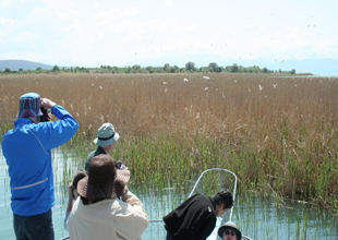 Amerikalılar Beyşehir Gölü'nde