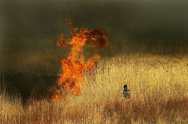 Beyşehir'de Sazlık Yangını