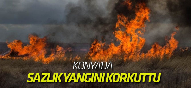 Konya'da Sazlık Yangını
