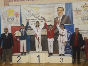 Taekwondocular yarı finalde