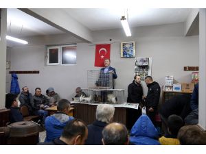 "Güvercin mezatı"nın geliri Mehmetçik'e