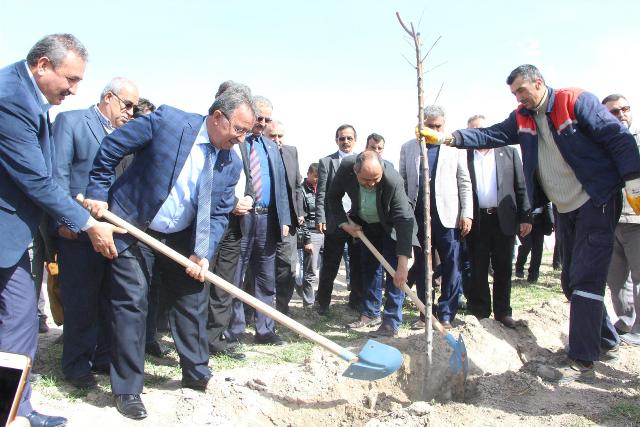 Karatay Belediyesi İsmil’de Afrin Şehitleri Anısına Ağaç Dikti