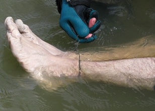 Ölümü annesi gibi oldu