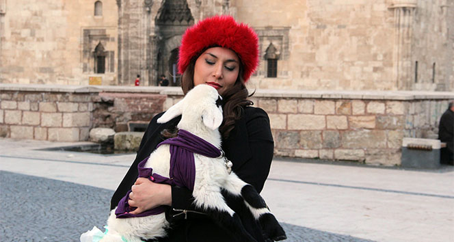 Kuzuyu evinde 'bebek' gibi besliyor