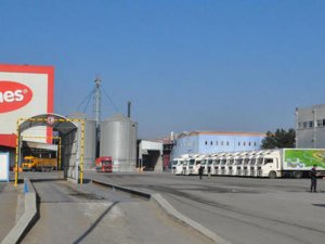 TMSF'deki Aynes, cirosunu yüzde 40 artırdı