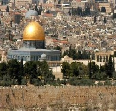 Dağdan gelip bağcıyı kovuyorlar