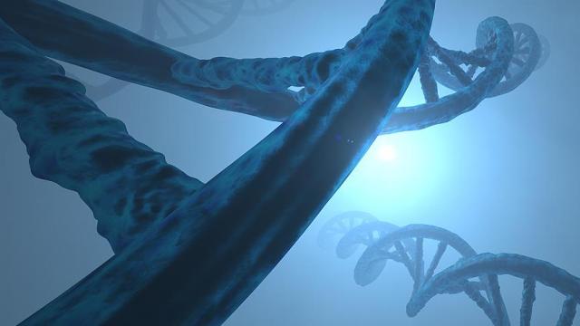 Genlerin empati kurmaktaki rolü keşfedildi