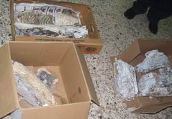 Zengen beldesinde tarih yatıyor