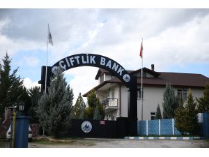 DÜZELTME - "GÜNCELLEME - 'Çiftlik Bank' soruşturmasında tutuklama" başlıklı haberimizde sehven "Cemal Çolak" olarak yer alan isim, "Cafer Çolak" olarak düzeltilmiştir. Haberimizi düzel