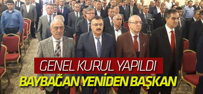 Baybağan yeniden göreve getirildi