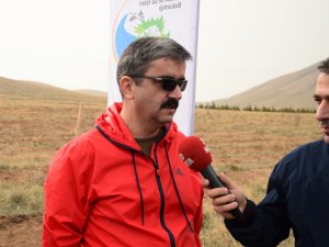 Konya Tabip Odası 200 fidan dikti