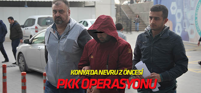 Nevruz öncesi operasyonda