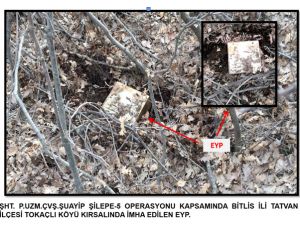 Bitlis'te terör örgütüne yönelik operasyon