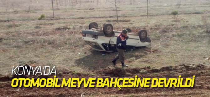 Konya'da Otomobil Meyve Bahçesine Devrildi: 5 Yaralı